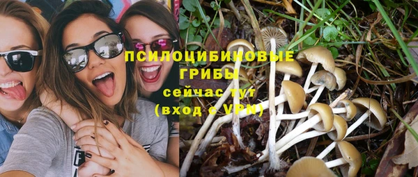 прущая мука Бугульма