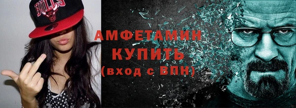 индика Бородино