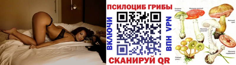 Псилоцибиновые грибы мицелий  Новопавловск 